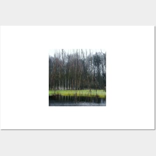 little pond with trees Posters and Art